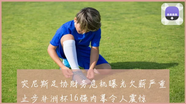 突尼斯足协财务危机曝光欠薪严重止步非洲杯16强内幕令人震惊