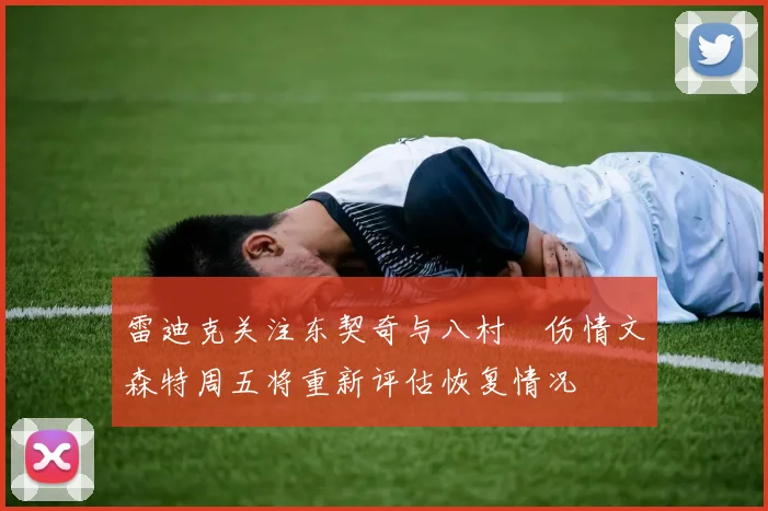 雷迪克关注东契奇与八村塁伤情文森特周五将重新评估恢复情况