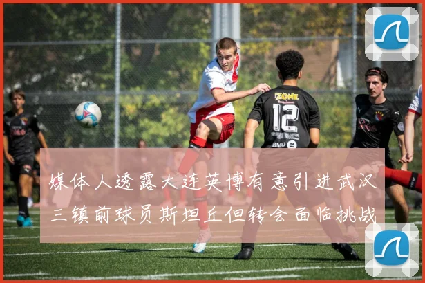 媒体人透露大连英博有意引进武汉三镇前球员斯坦丘但转会面临挑战