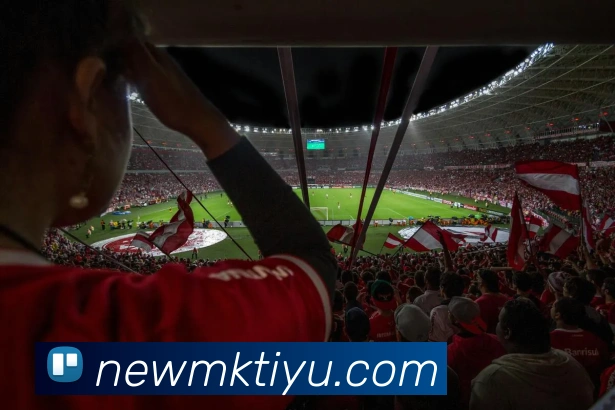 MK体育平台生态图